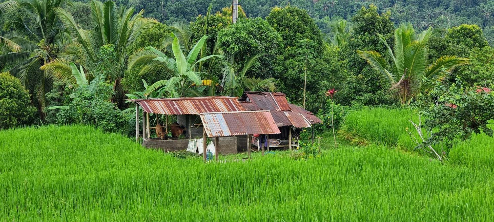 Utopiaku - Munduk Highlands Villa Dış mekan fotoğraf