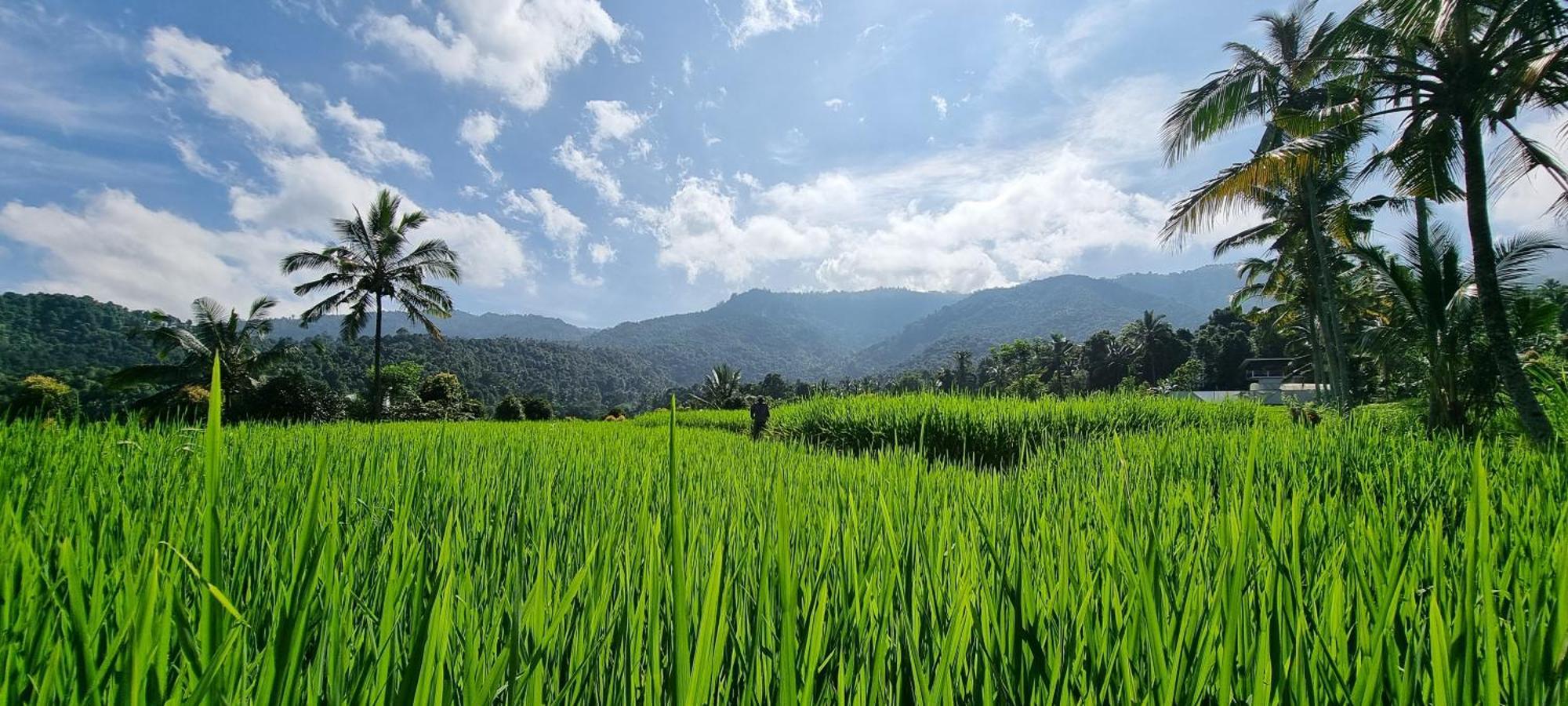 Utopiaku - Munduk Highlands Villa Dış mekan fotoğraf