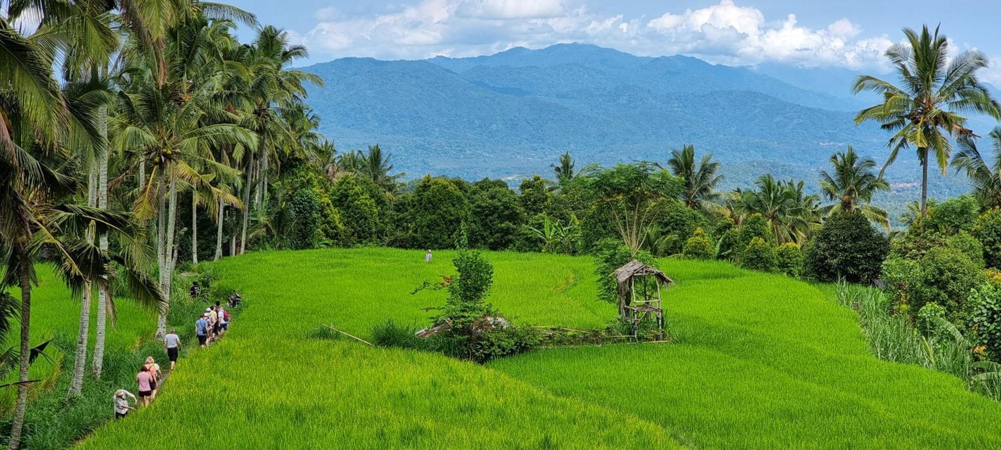 Utopiaku - Munduk Highlands Villa Dış mekan fotoğraf