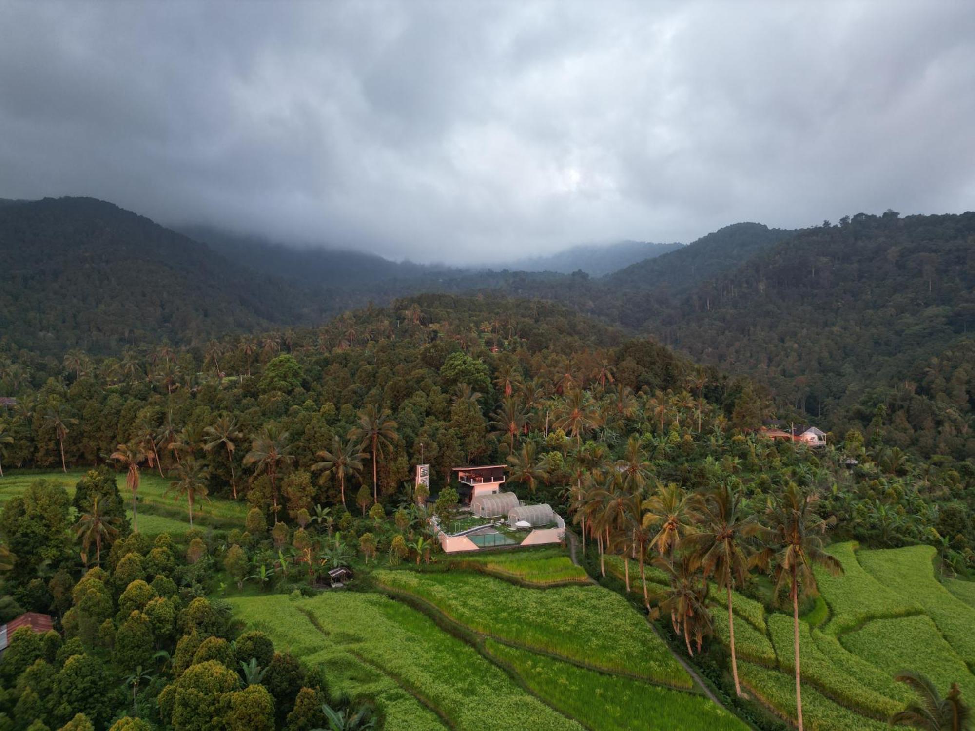 Utopiaku - Munduk Highlands Villa Dış mekan fotoğraf